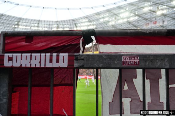 Bayer 04 Leverkusen vs SC Freiburg (1-1) (19)