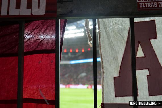 Bayer 04 Leverkusen vs SC Freiburg (1-1) (26)