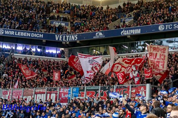 FC Schalke 04 vs SC Freiburg (2-2) (2)