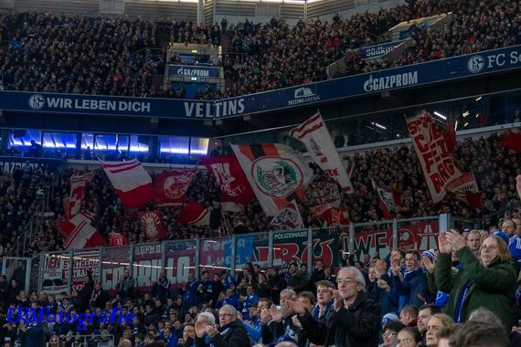 FC Schalke 04 vs SC Freiburg (2-2) (6)