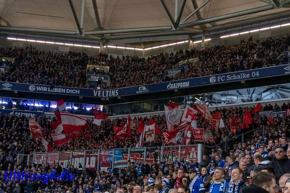 FC Schalke 04 vs SC Freiburg (2-2) (8)