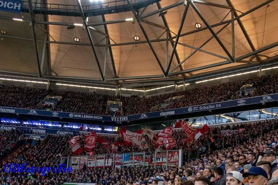 FC Schalke 04 vs SC Freiburg (2-2) (10)