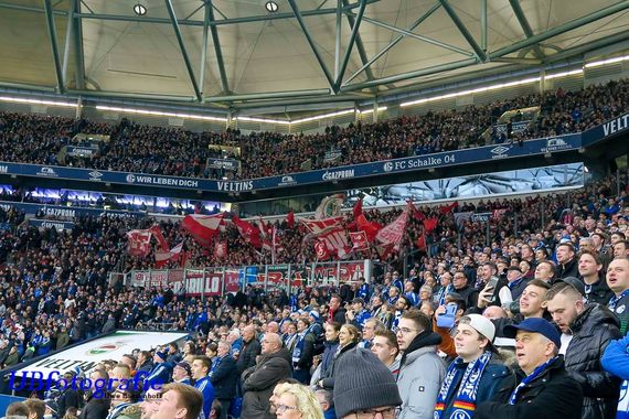 FC Schalke 04 vs SC Freiburg (2-2) (11)