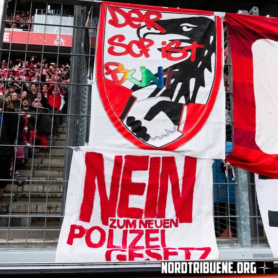 1. FC Köln vs SC Freiburg (4-0) (5)