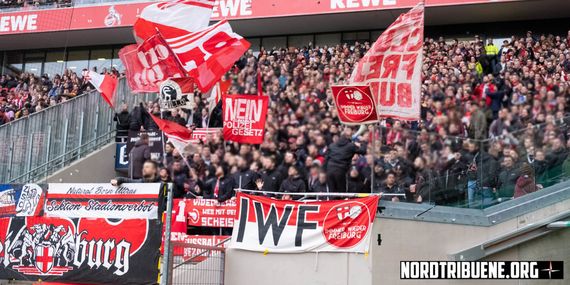 1. FC Köln vs SC Freiburg (4-0) (7)