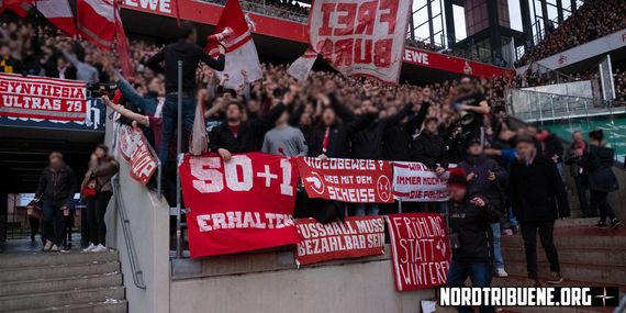 1. FC Köln vs SC Freiburg (4-0) (12)