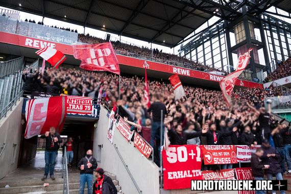 1. FC Köln vs SC Freiburg (4-0) (16)