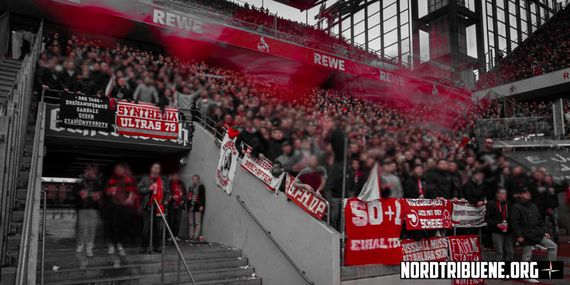 1. FC Köln vs SC Freiburg (4-0) (17)