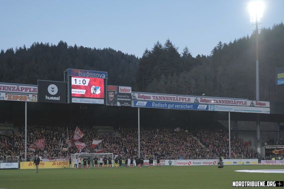 SC Freiburg vs TSG Hoffenheim (1-0) (16)