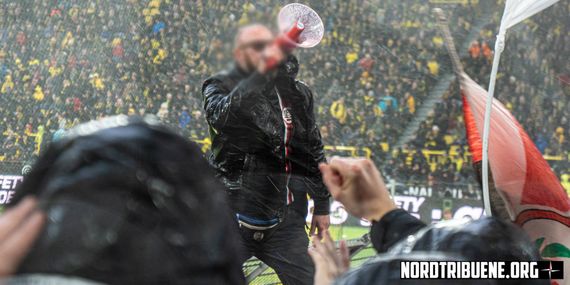 Borussia Dortmund vs SC Freiburg (0-2) (25)
