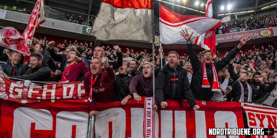 Fortuna Düsseldorf vs SC Freiburg (1-2) (18)