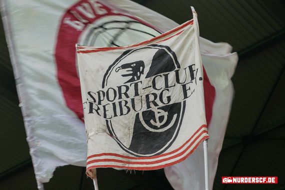 SC Freiburg vs Borussia Dortmund (2-2) (10)