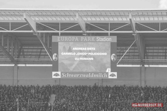 SC Freiburg vs SpVgg Fürth (3-1) (11)