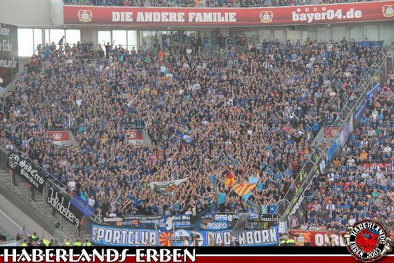 Bayer 04 Leverkusen vs SC Paderborn (2-2) (8)