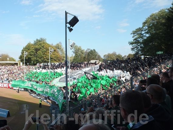 SC Preußen Münster vs DSC Arminia Bielefeld (3-1) (6)