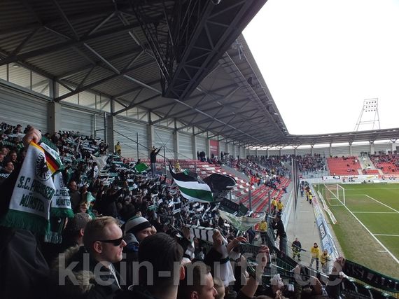 Hallescher FC vs SC Preußen Münster (3-0) (29)