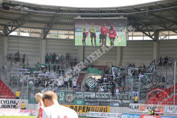 Hallescher FC vs SC Preußen Münster (1-3) (9)
