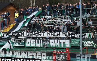 SC Preußen Münster vs Hallescher FC (1-1)