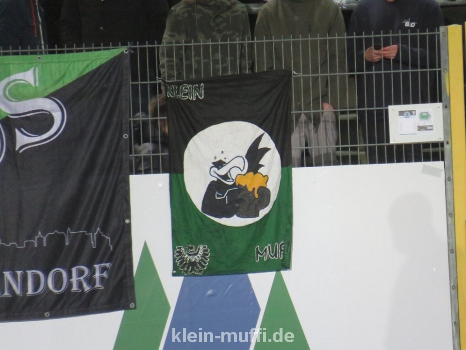 Sportfreunde Lotte vs SC Preußen Münster (1-0) (1)