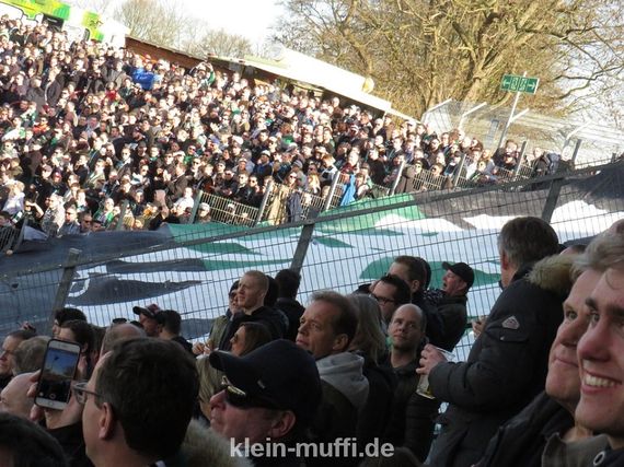 SC Preußen Münster vs VfL Osnabrück (0-0) (3)