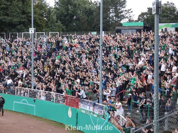 SC Preußen Münster vs VfL Wolfsburg (1-3) (16)
