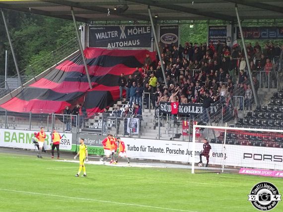SG Sonnenhof-Großaspach vs Hallescher FC (1-1) (6)
