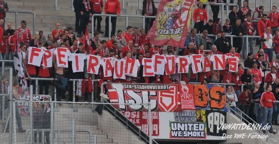 Rot-Weiss Essen vs Sportfreunde Siegen (1-0) (3)