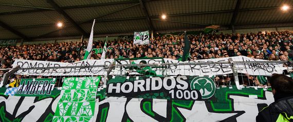 SpVgg Fürth vs FC Augsburg (1-1) (3)