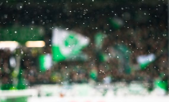 SpVgg Fürth vs VfL Wolfsburg (0-1) (12)