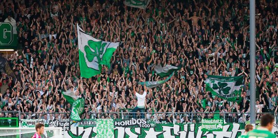 SpVgg Fürth vs FC Schalke 04 (0-2) (17)