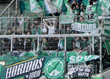 VfL Wolfsburg vs SpVgg Fürth (1-1)