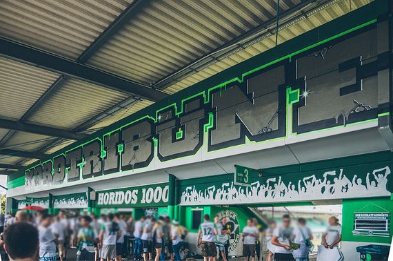 SpVgg Fürth vs DSC Arminia Bielefeld (1-2) (9)