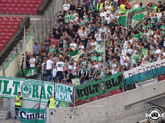VfB Stuttgart vs SpVgg Fürth (2-0) (4)