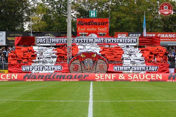 SSV Jahn Regensburg vs Wacker Burghausen (1-1) (25)