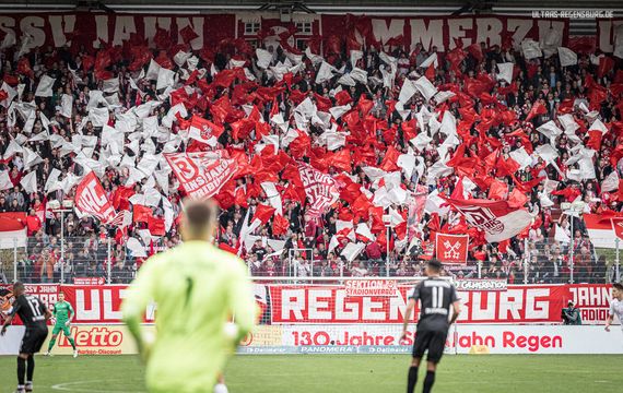 SSV Jahn Regensburg vs SV Sandhausen (1-0) (27)
