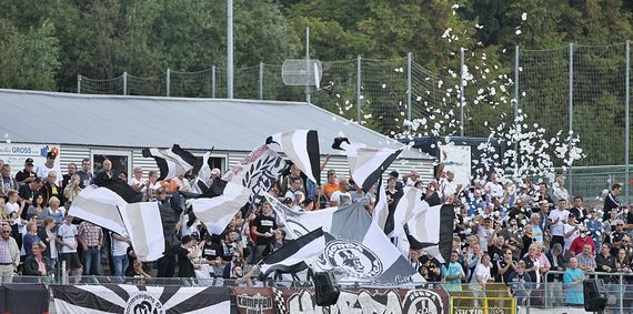 SV 07 Elversberg vs SSV Ulm 1846 (2-1) (2)