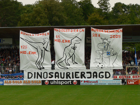 Stuttgarter Kickers vs Hamburger SV (1-5) (1)