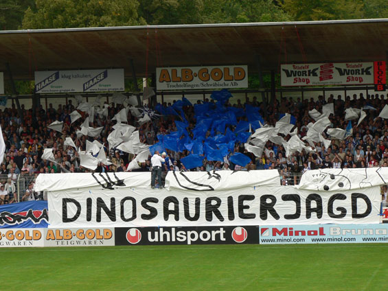 Stuttgarter Kickers vs Hamburger SV (1-5) (2)