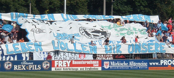 SV Babelsberg 03 vs Energie Cottbus Am. (2-0) (1)