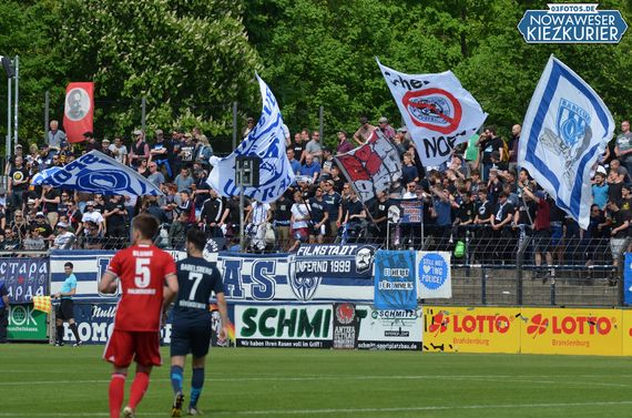 SV Babelsberg 03 vs VfB Germania Halberstadt (3-1) (18)