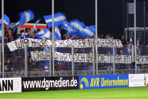 TSG Hoffenheim vs SV Darmstadt 98 (4-2)