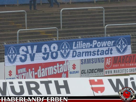 SV Darmstadt 98 vs Bayer 04 Leverkusen (1-2) (9)