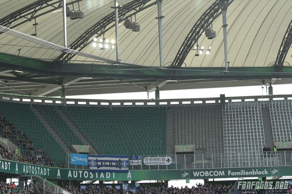 VfL Wolfsburg vs SV Darmstadt 98 (1-1) (7)