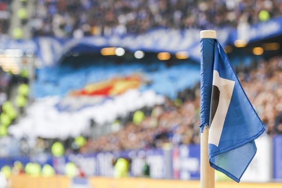 Hamburger SV vs SV Darmstadt 98 (1-2) (2)