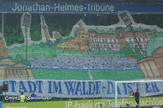 SV Darmstadt 98 vs SV Sandhausen (1-1) (6)
