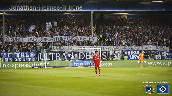 SV Darmstadt 98 vs Hamburger SV (1-2) (2)