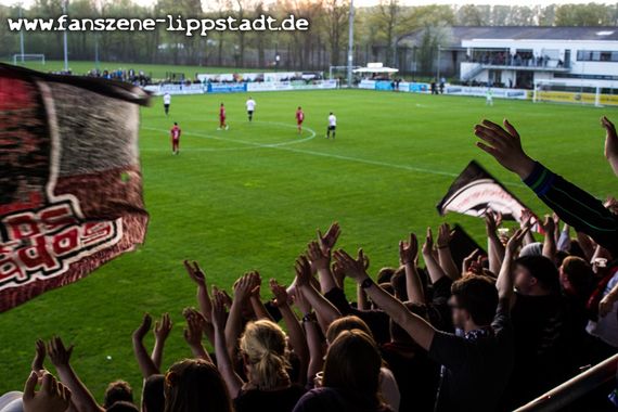 SV Lippstadt 08 vs Eintracht Rheine (5-0) (2)