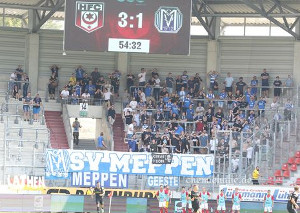 Hallescher FC vs SV Meppen (3-1)