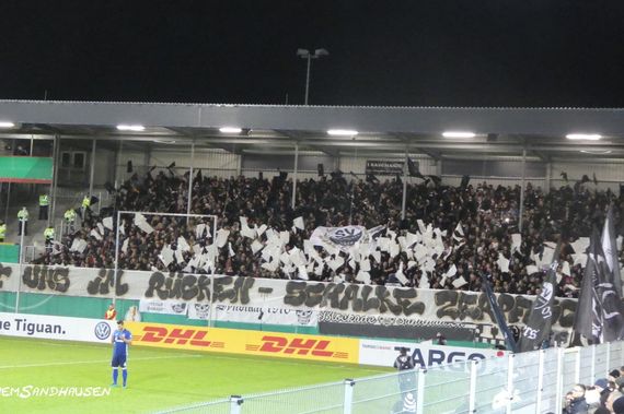 SV Sandhausen vs FC Schalke 04 (1-4) (4)