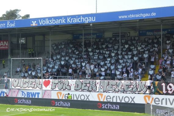 SV Sandhausen vs SV Darmstadt 98 (1-1) (7)
